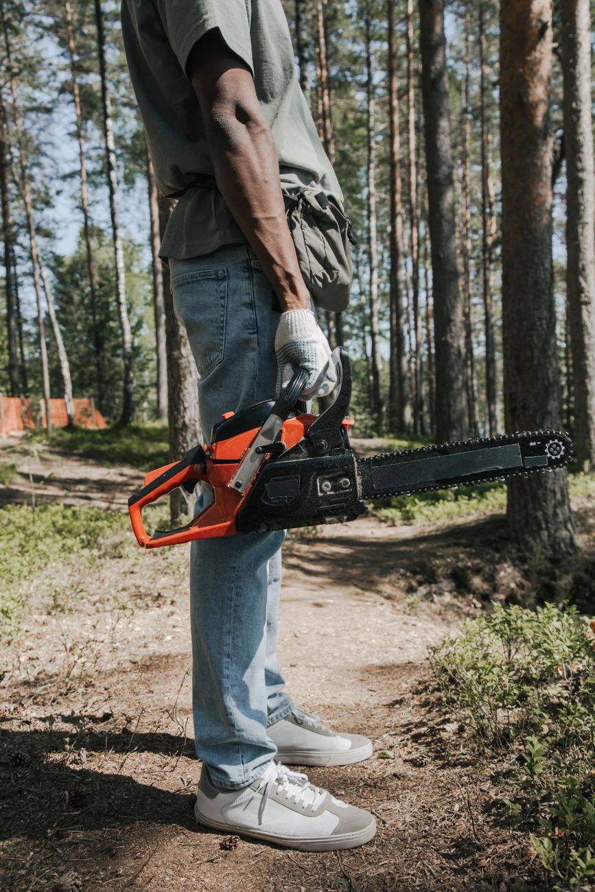 Arborist working a wooded fence line