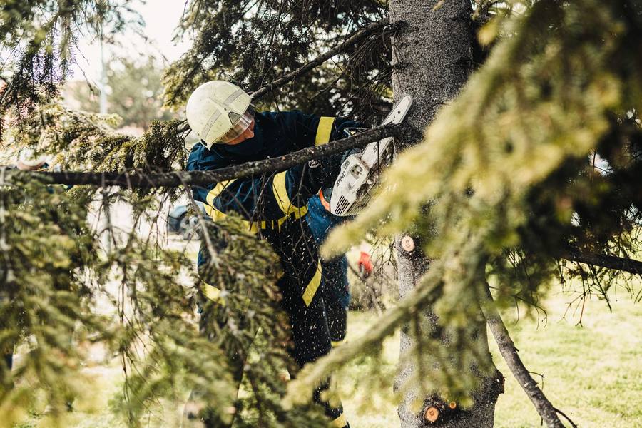 Crew member cutting limbs on a Colquitt County job